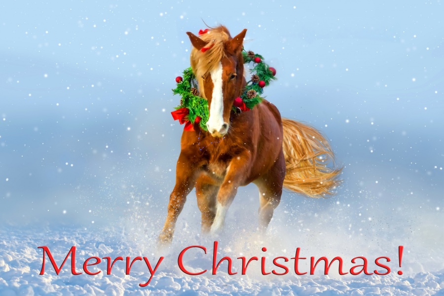 Fotolia 121530853 L text